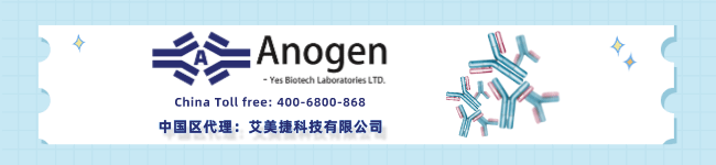 Anogen-banner-0.5s.gif
