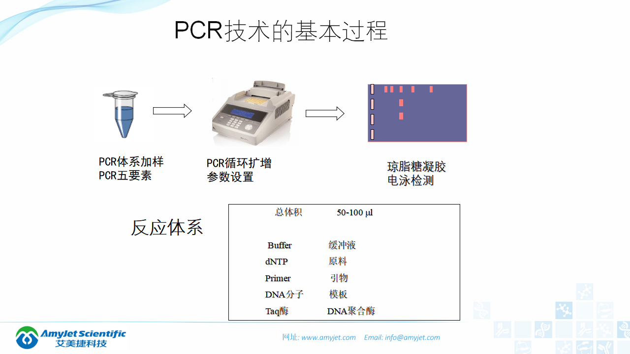 202006-PCR背景与解决方案_08.png