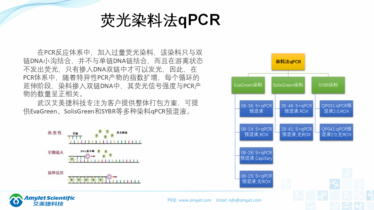 202006-PCR背景与解决方案_23.png